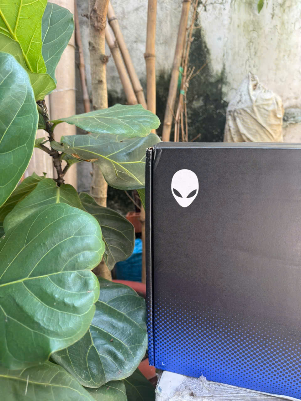 z7557538705835_01035c1b36c366e79d7929a4bd794d42