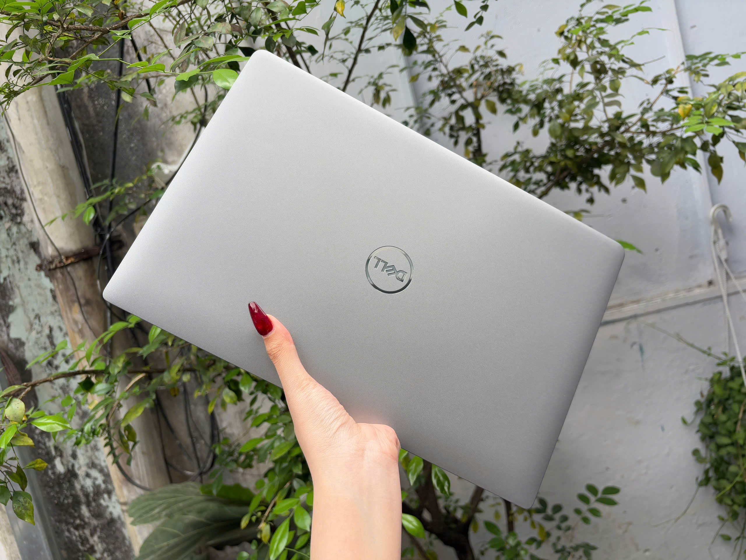 z7561144595295_a3a72869ad9c5d9a9157d87c1b670408