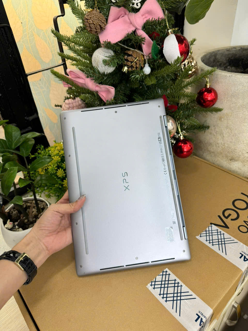 z7574153516855_0b995605f2e17acb4b874fdc3e4f9e36