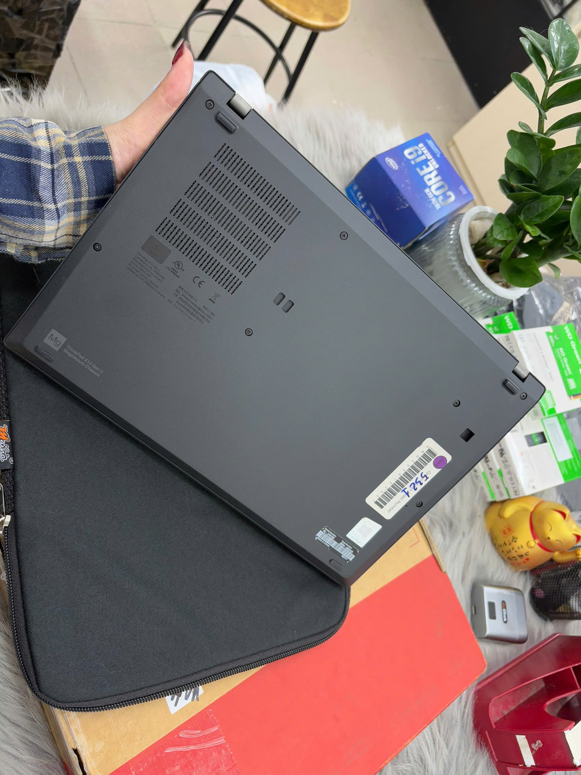 z7625483293029_f4607588c20947544b5d11efbe6c617d