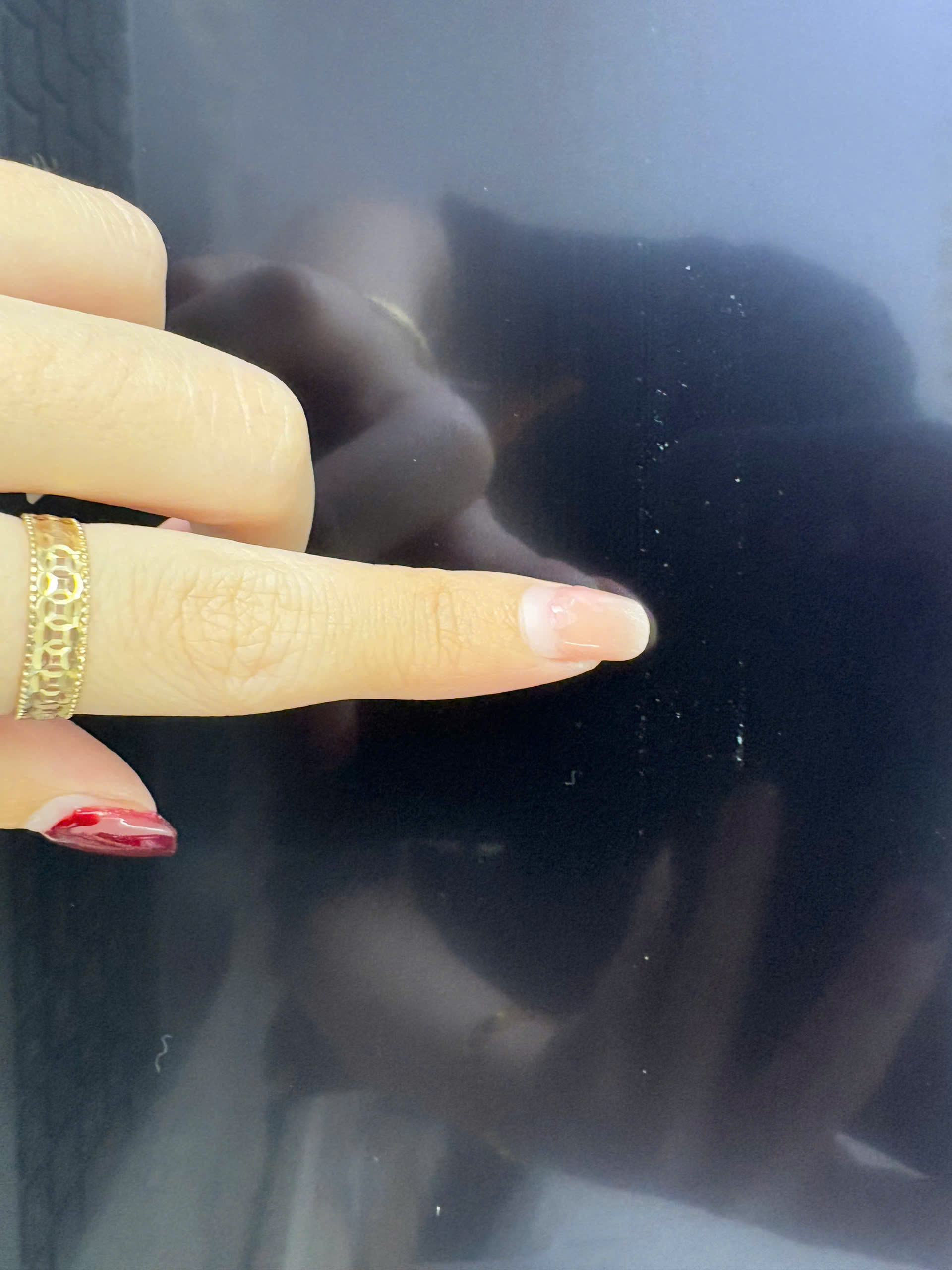 z7625806771306_f4d11a8a4a4617358d4246401557f3ab