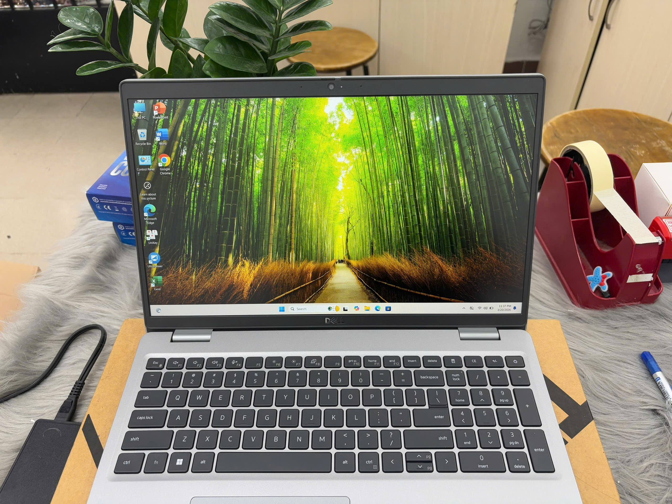 z7643000674257_3d382716af30c647445410e95e70a51a