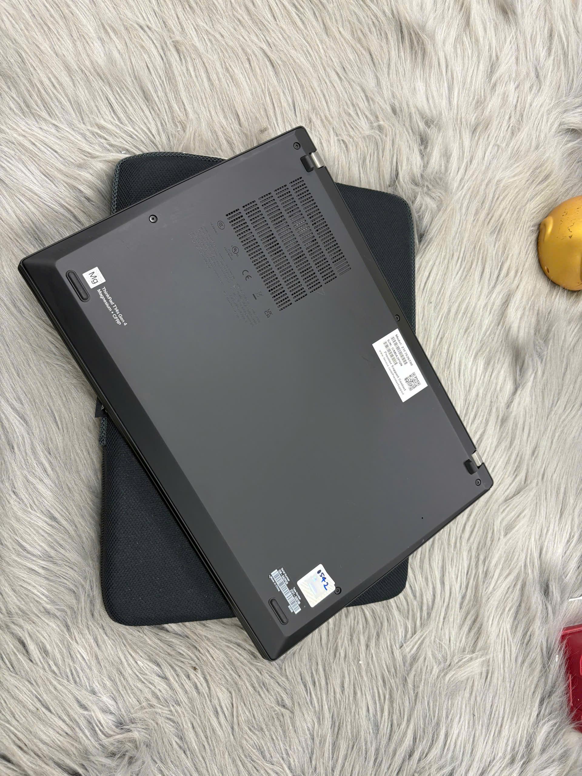 z7646015575616_7736eb85e98c08b1b611e1bb86203f3a