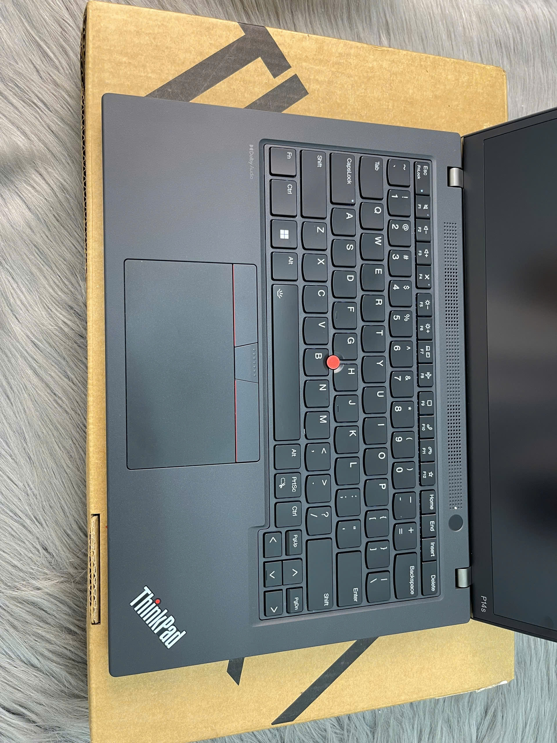 z7663223309005_795b324c5d7893fba76b465e19190b0e