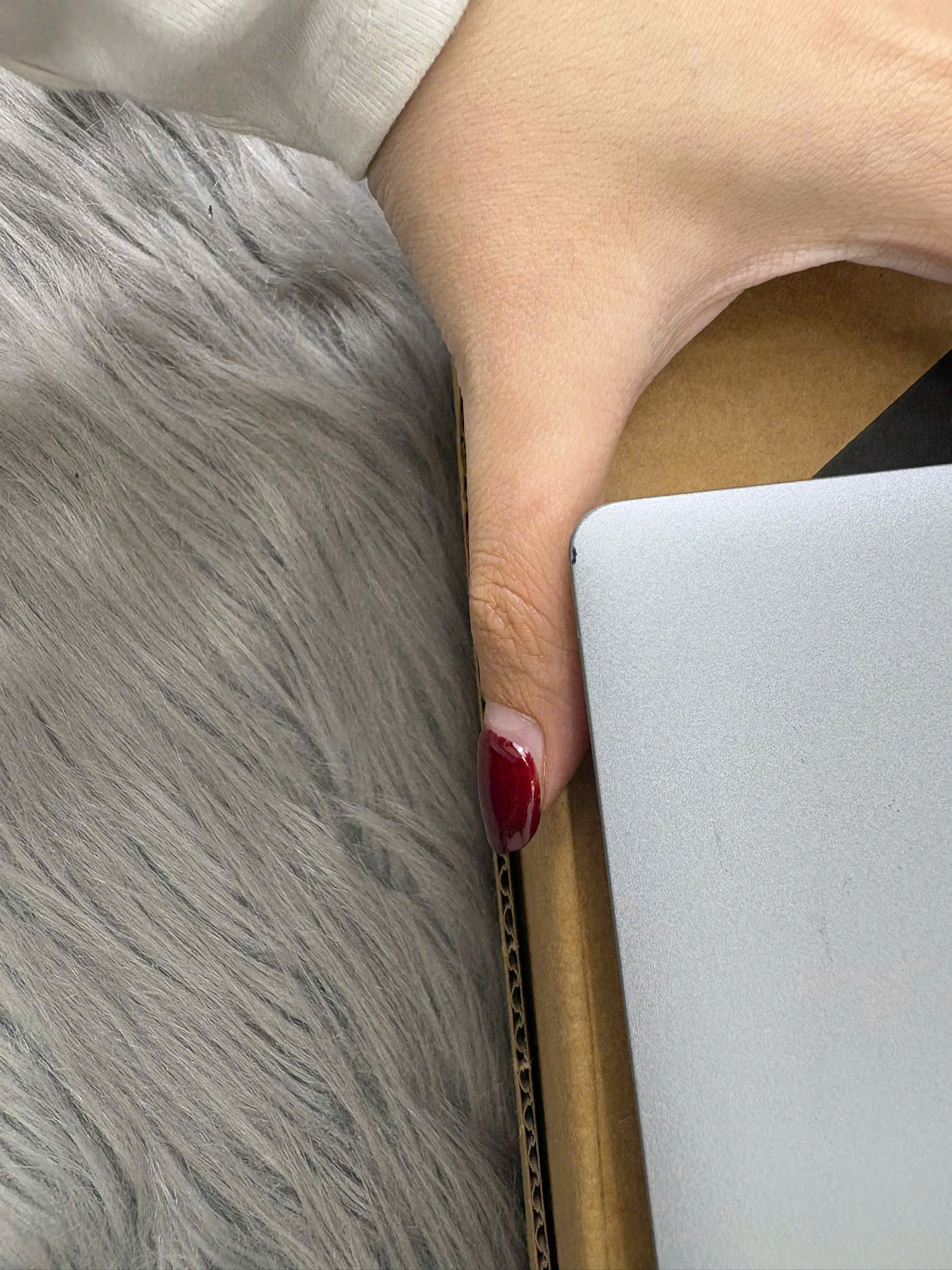 z7673697011276_c56cbe551588c1f11119dc7754a80b24