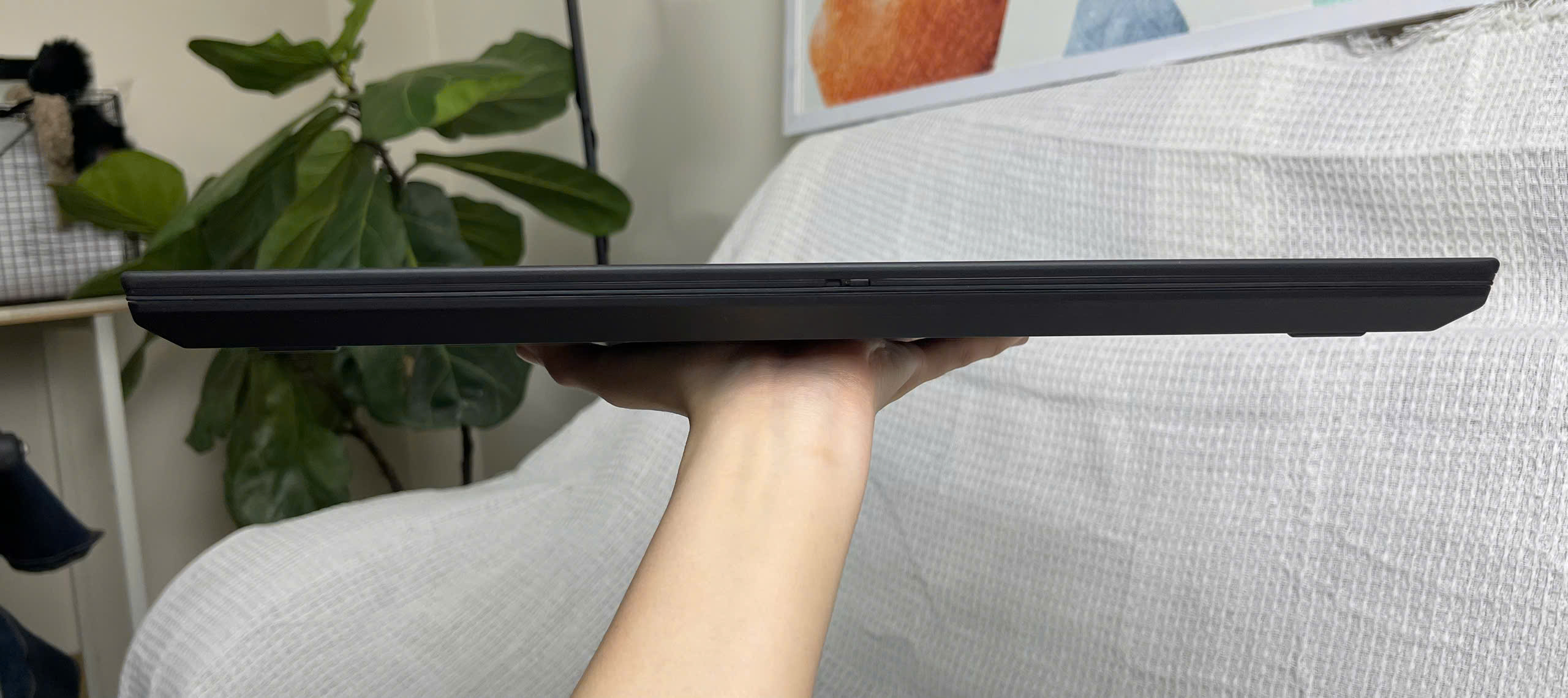 z7730987668736_554d239a297eab51cec1515944505452